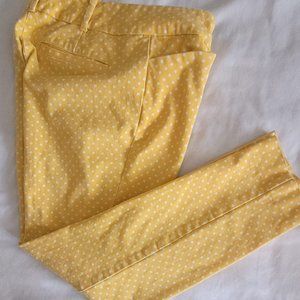 NY & C ankle pants